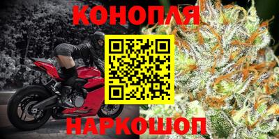 PSILOCYBIN Малоярославец