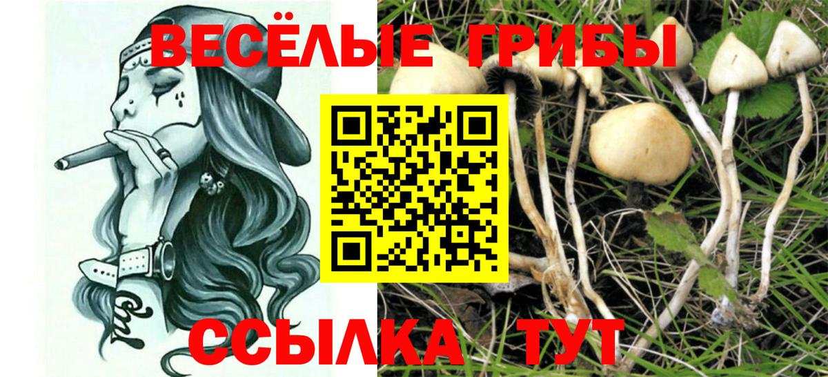 Меф   Экстази  COCAIN  Вход с VPN  Каннабис  ГАШИШ  NBOMe  Мефедрон  Пенза  ГАШ 