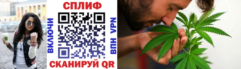 мориарти Telegram  Пенза  Конопля индика  mega ссылки 